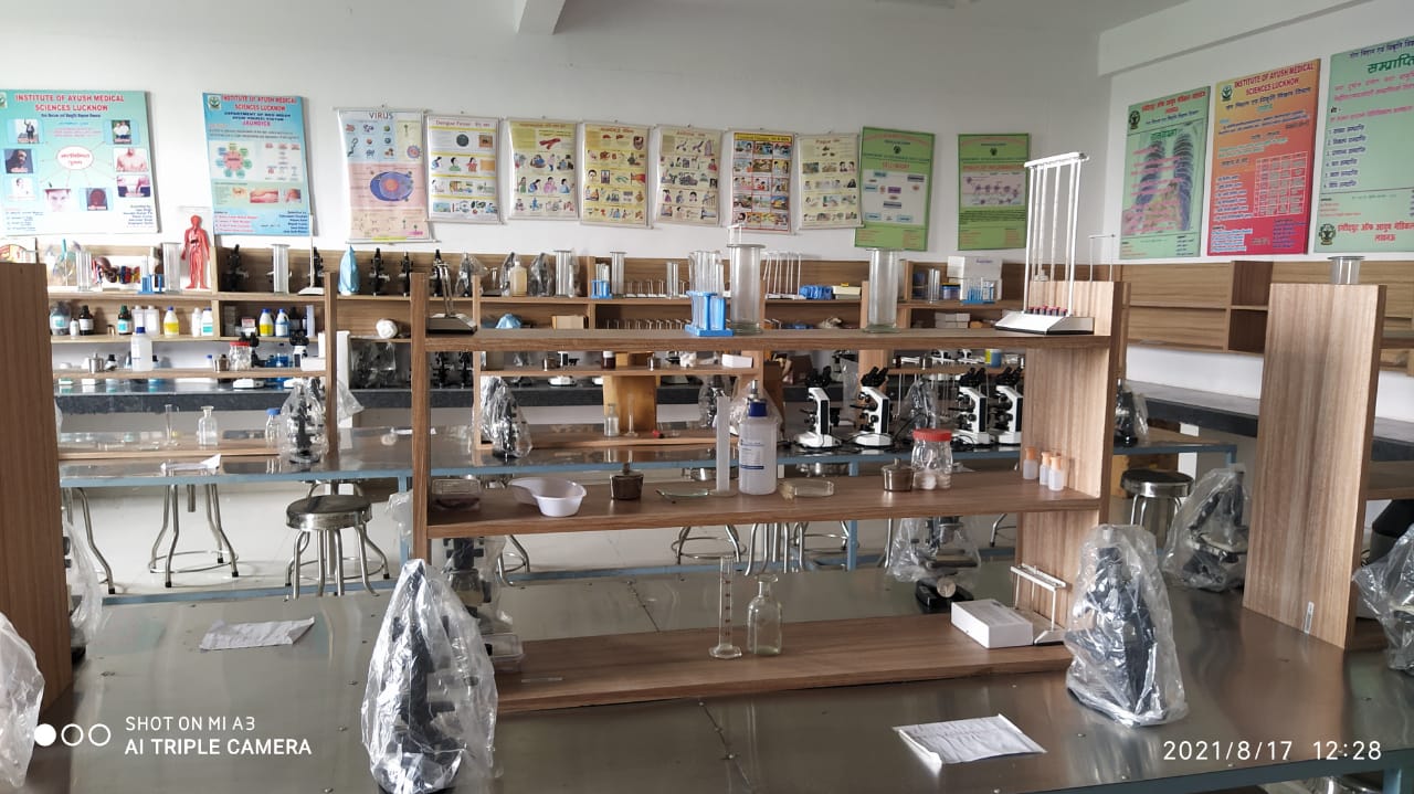 Overview of IAMS